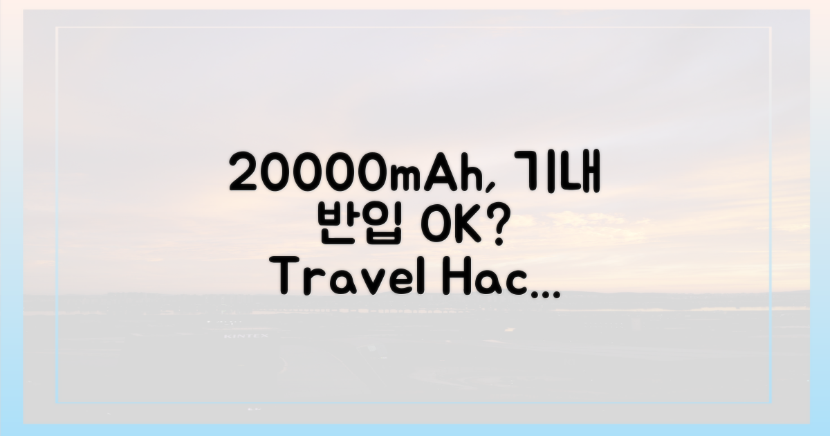 20000mAh, 반입 가능한가요?