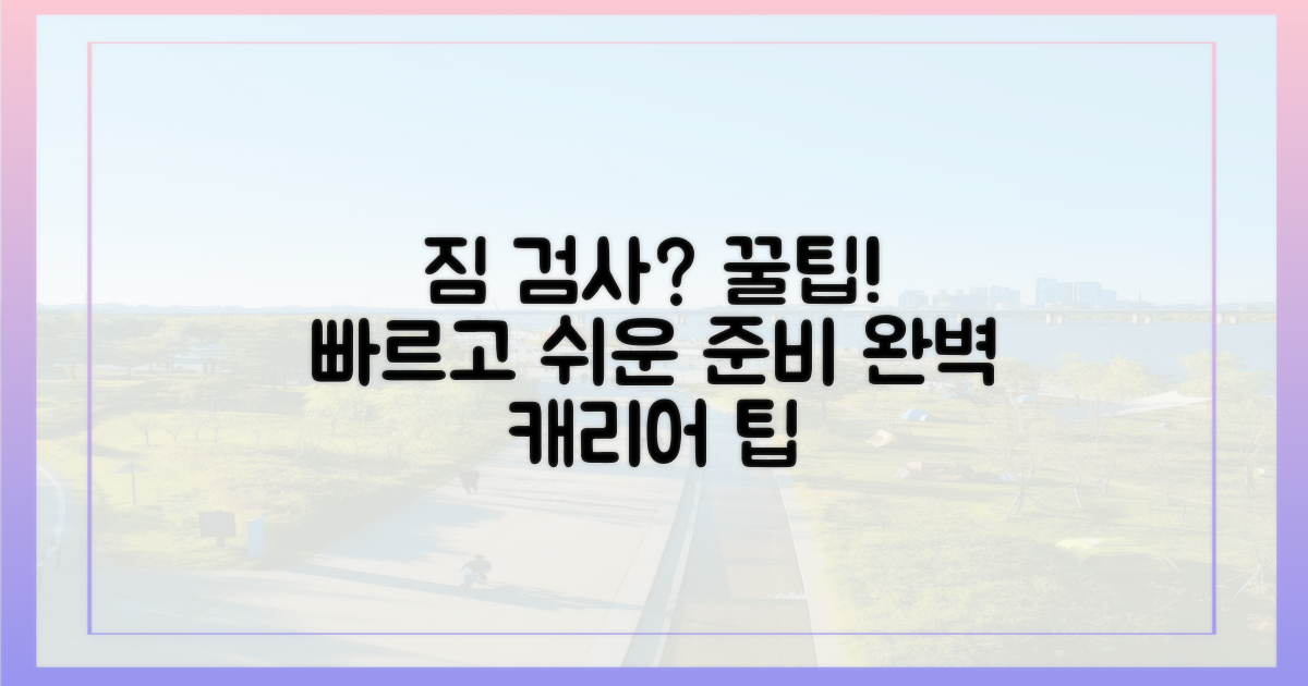 짐 검사, 어떻게 준비해야 할까?