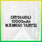 대한항공, 아시아나 총정리! 10000mAh 보조배터리 기내 반입 규정 (2025)