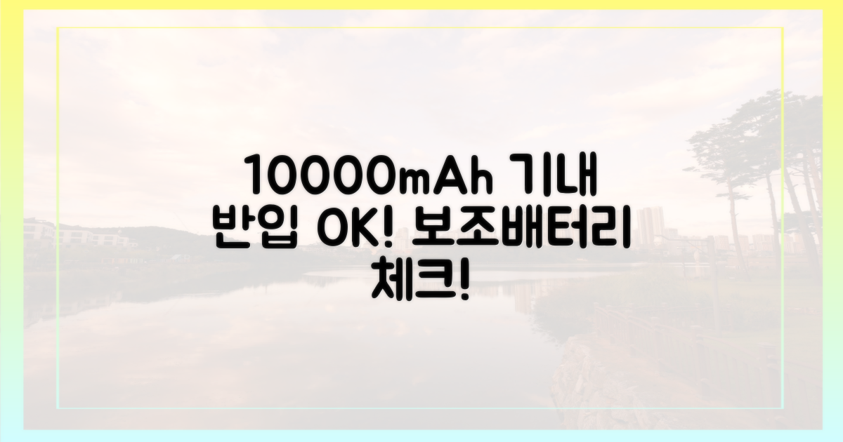 10000mAh 보조배터리, 기내 반입 체크!