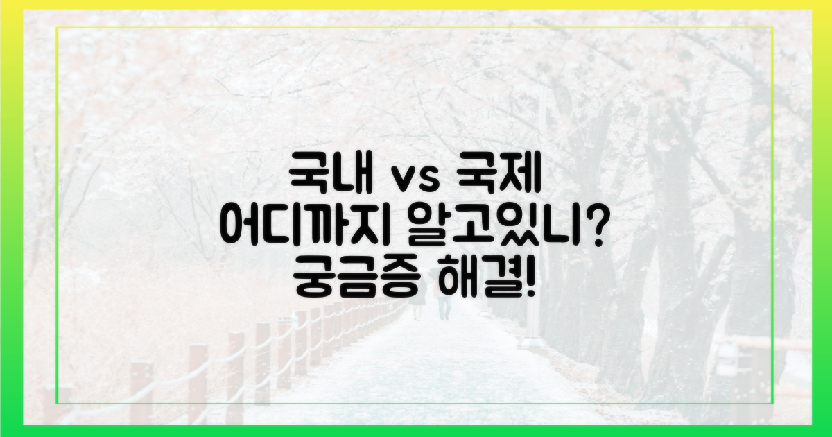 국제선, 국내선 차이점