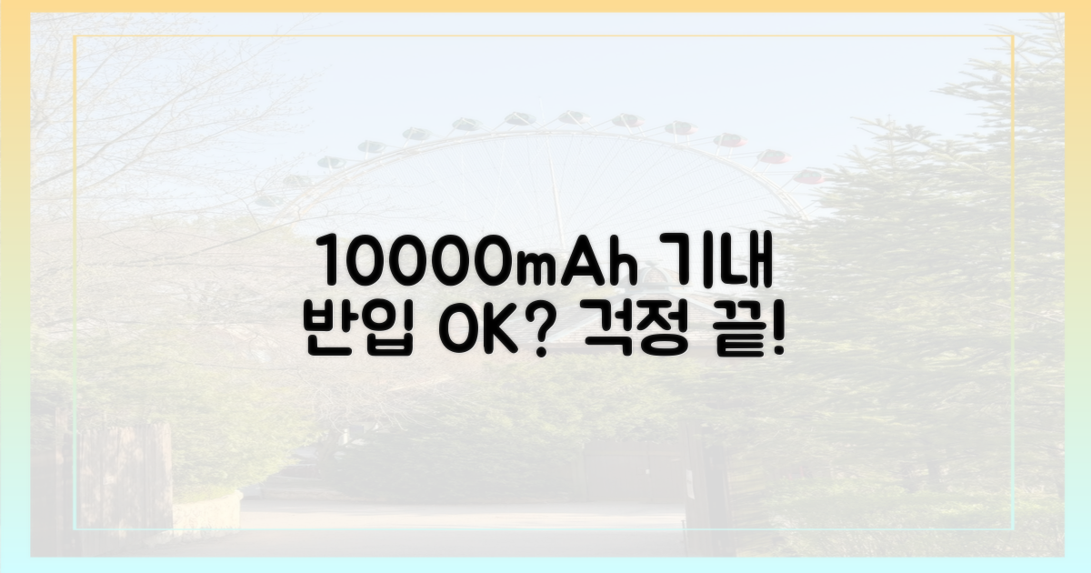 10000mAh, 기내 반입 문제없을까?