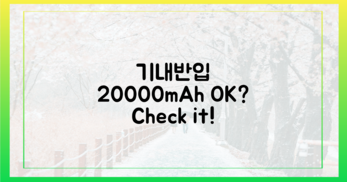 20000mAh, 기내 반입 가능할까?