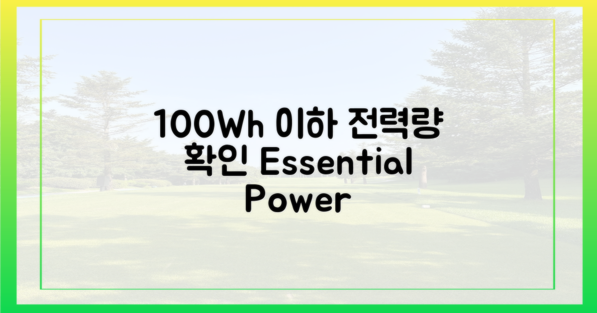 100Wh 이하 용량 확인