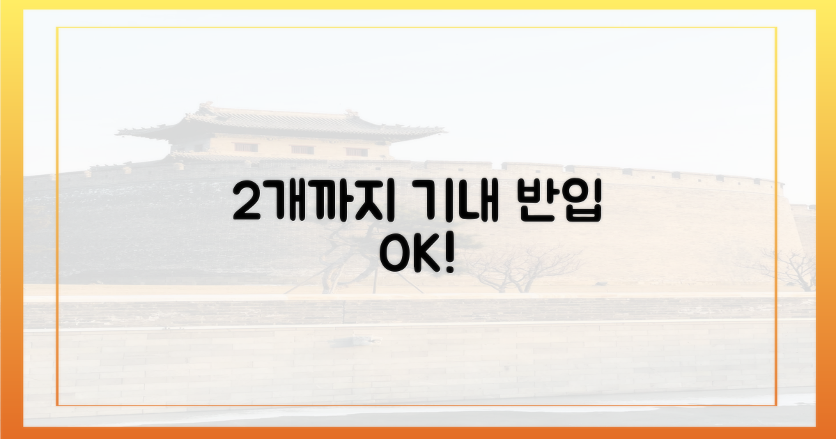 2개까지 기내 반입 가능