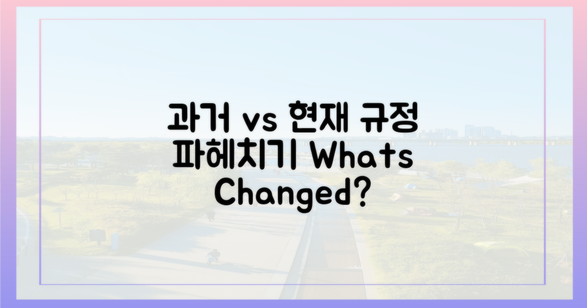 과거 규정 vs 최신 규정