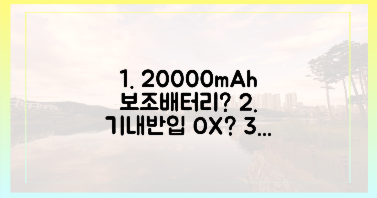 20000mAh 이상 보조배터리, 기내 반입 가능할까?