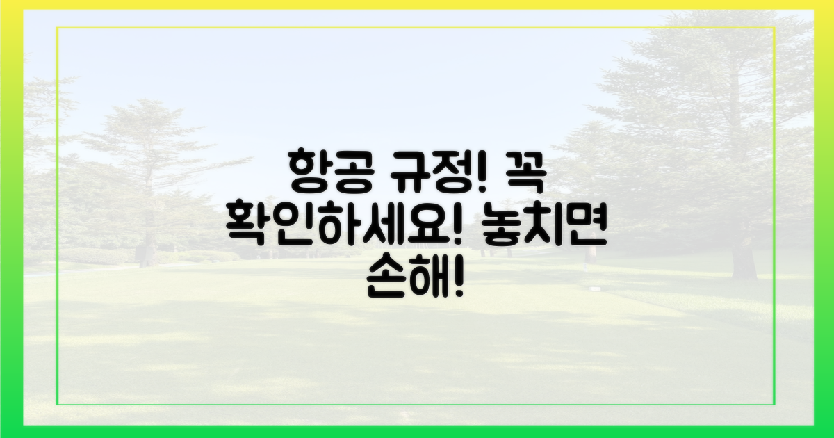 항공사 규정, 꼼꼼하게 확인하기