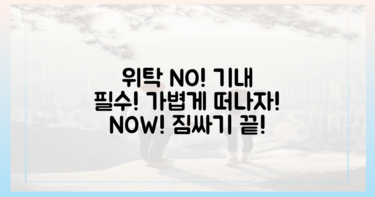 위탁 수하물 NO! 기내 휴대 필수!