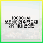 내 10000mAh 보조배터리, 왜 위탁 수하물은 안되고 기내 반입만 가능할까?