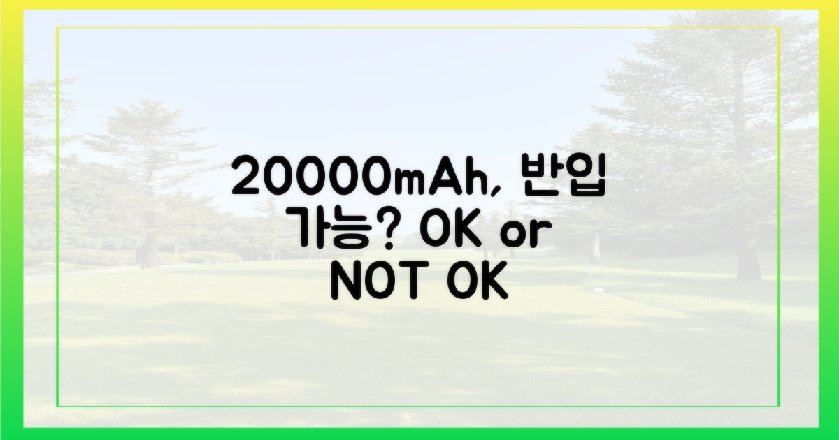 20000mAh, 반입 가능할까요?