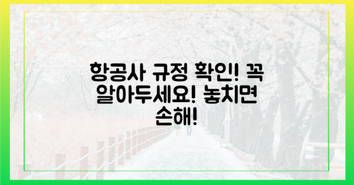 항공사별 규정을 확인하세요