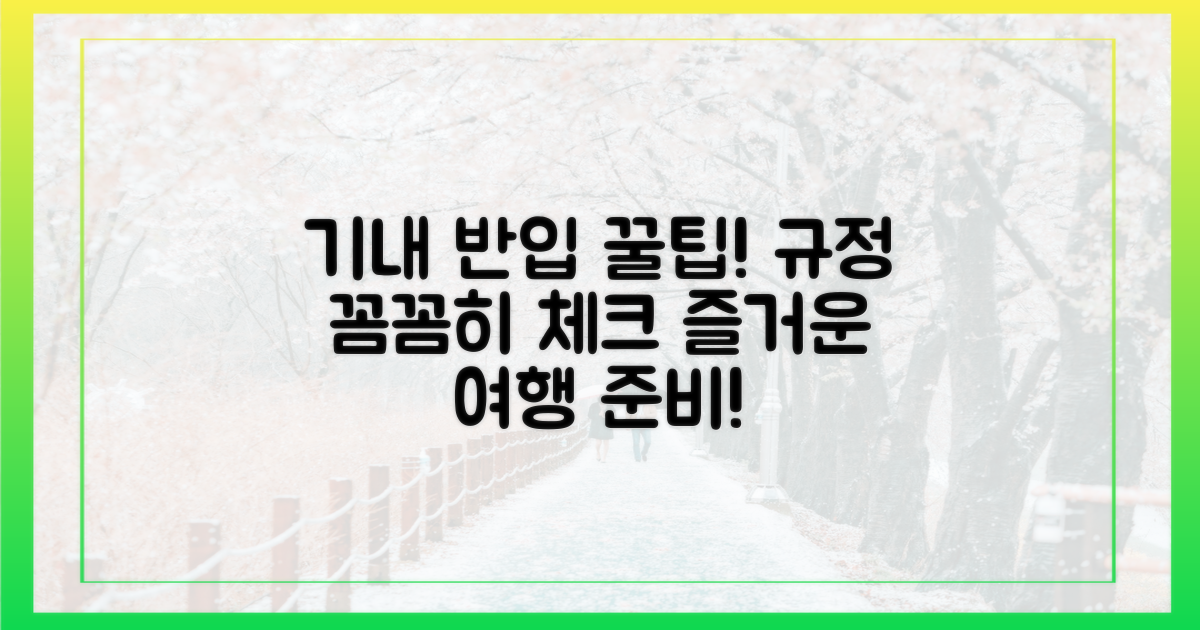 기내 반입 규정 확인하세요