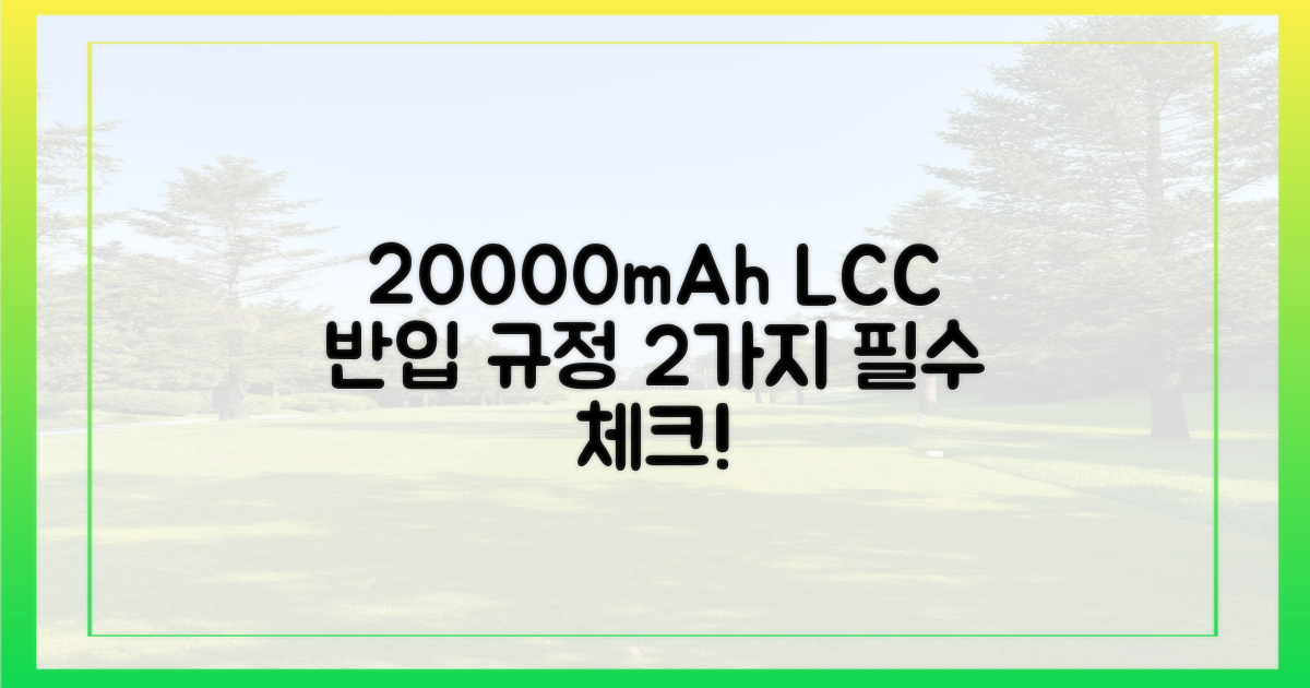 20000mAh, LCC 반입 기준 2가지