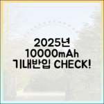 2025년 최신 항공사별 10000mAh 보조배터리 기내 반입 규정 완벽 비교 분석