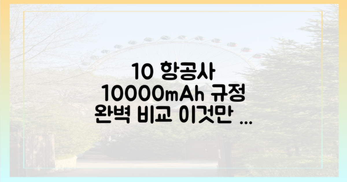 10개 항공사 10000mAh 규정 비교