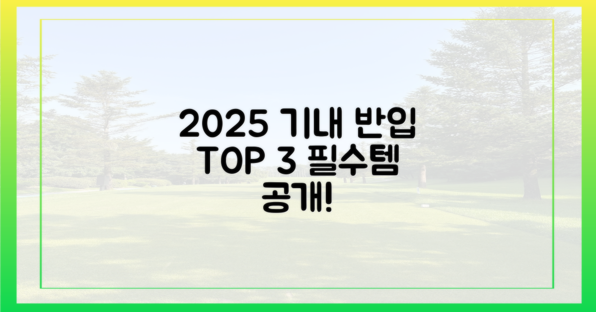 2025년 최신 기내 반입 3가지 핵심