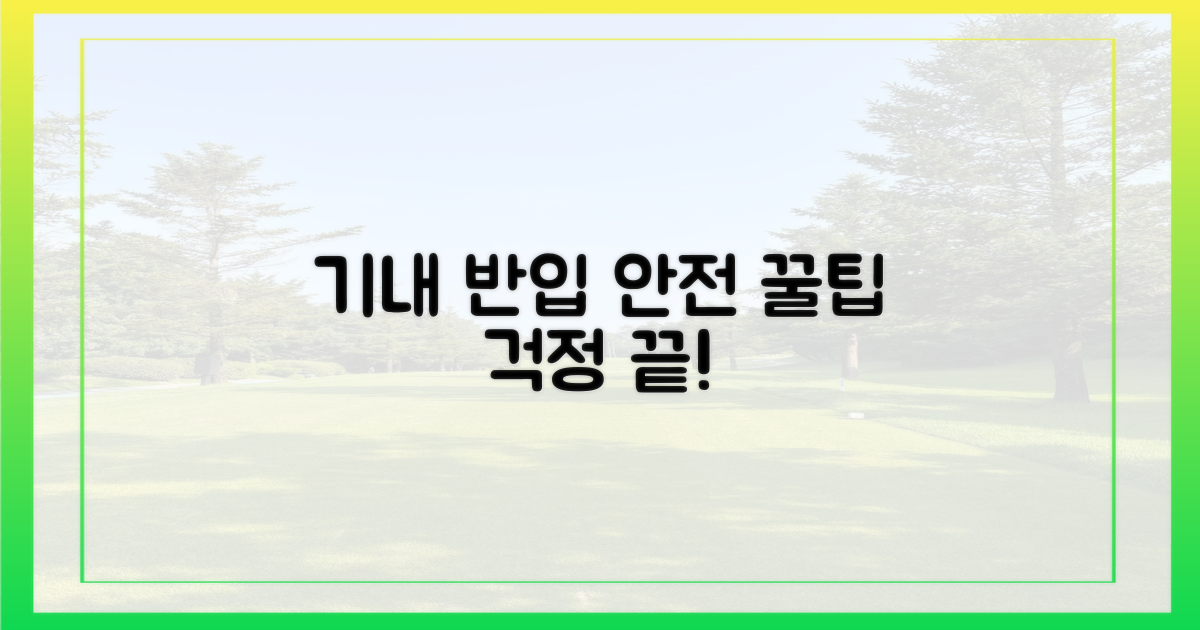 안전한 기내 반입 팁은?