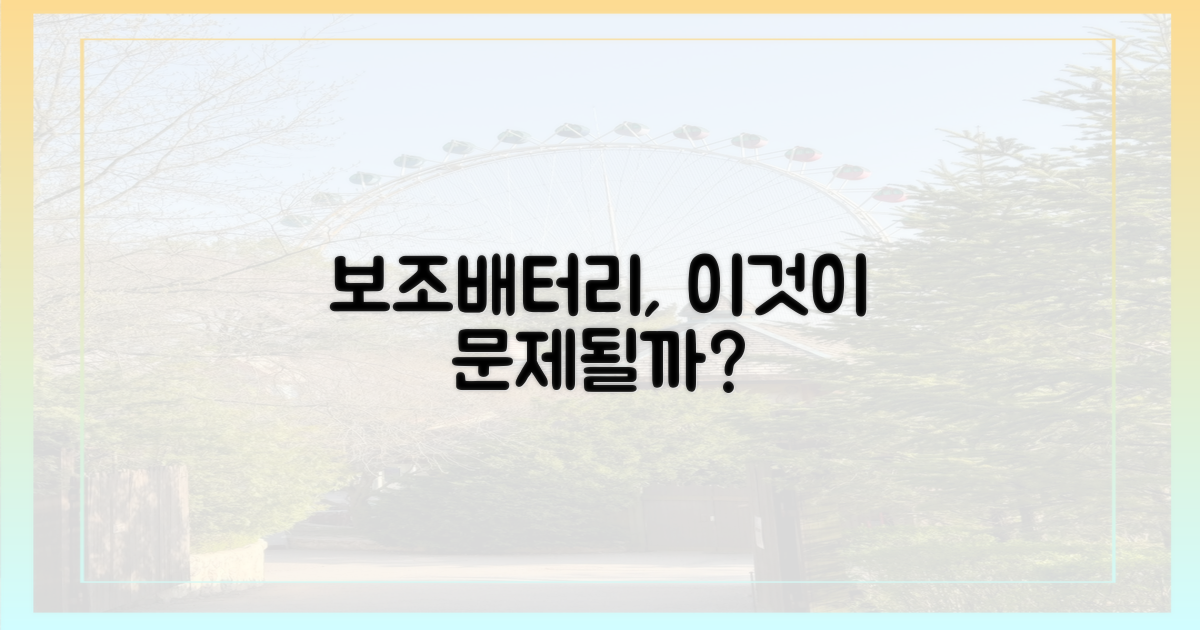 어떤 보조배터리가 문제될까?