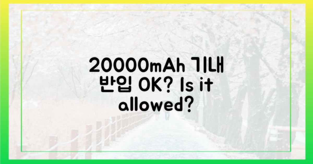 20000mAh, 정말 기내 반입 가능할까?