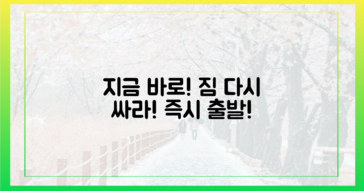 지금 바로 짐을 다시 싸세요.