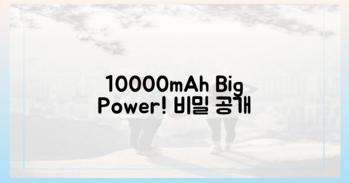 10000mAh 용량의 비밀