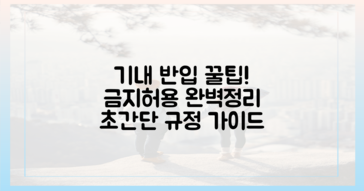 전문가가 짚어주는 기내 반입 규정