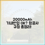 여행 전 필독! 20000mAh 보조배터리 항공사별 반입 규정 비교