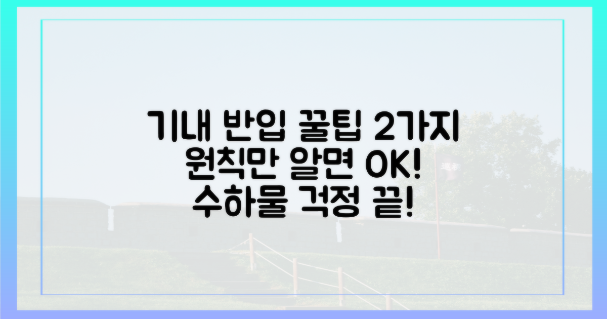 2가지 기내 반입 원칙