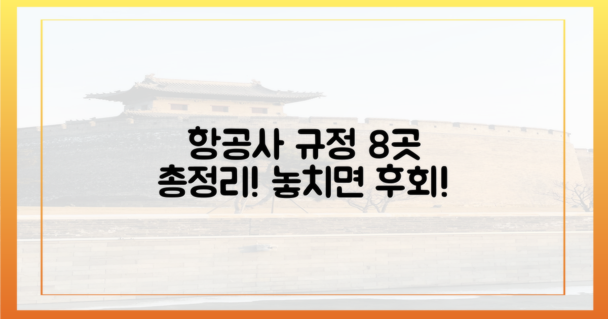8개 항공사 규정 총정리