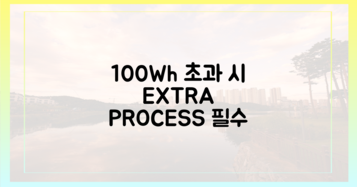 100Wh 초과 시 추가 절차