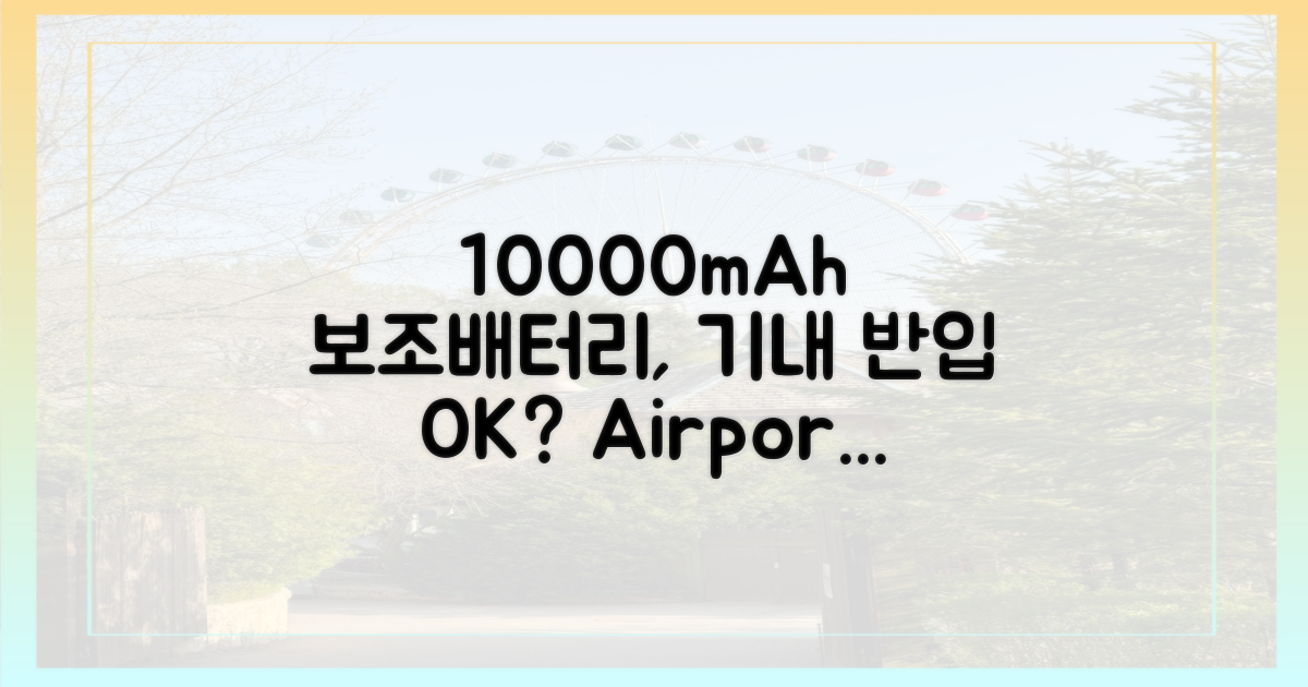 10000mAh 보조배터리, 기내 반입 가능할까?