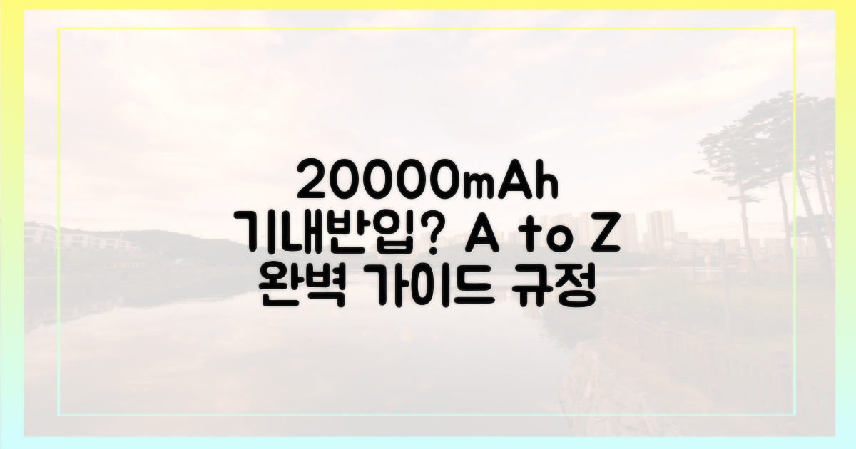20000mAh 보조배터리, 기내 반입 규정은?
