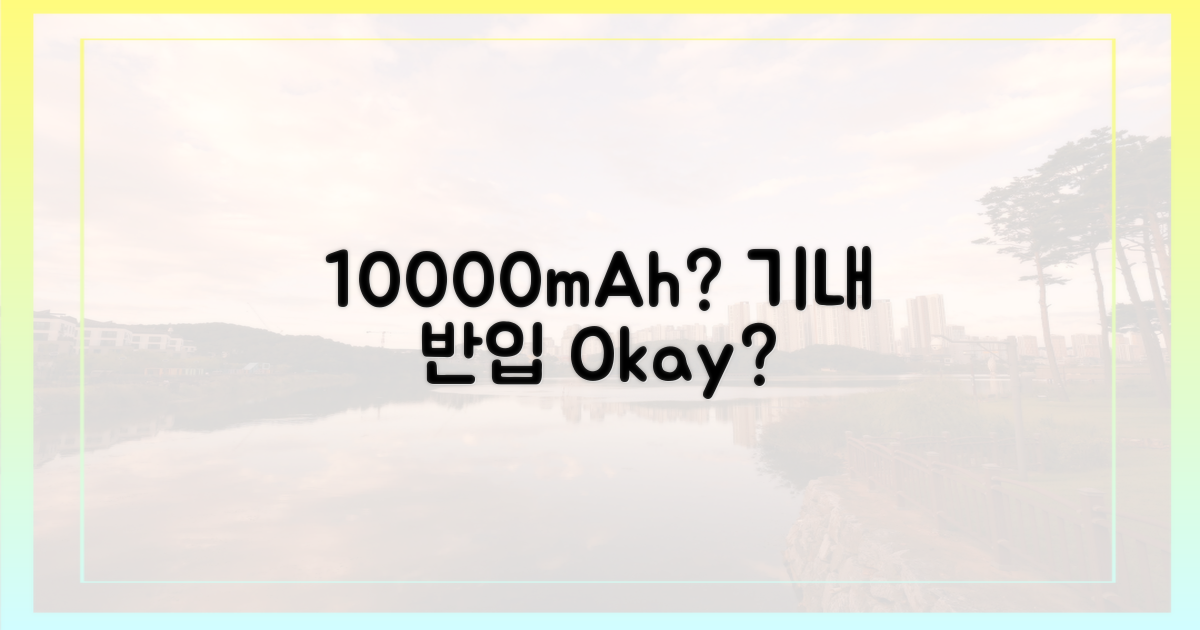 10000mAh, 기내 반입 가능한가요?