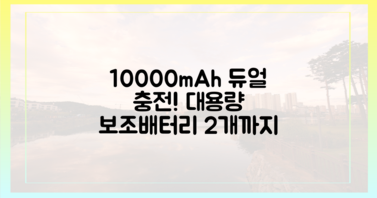 10000mAh 이상, 2개까지 가능