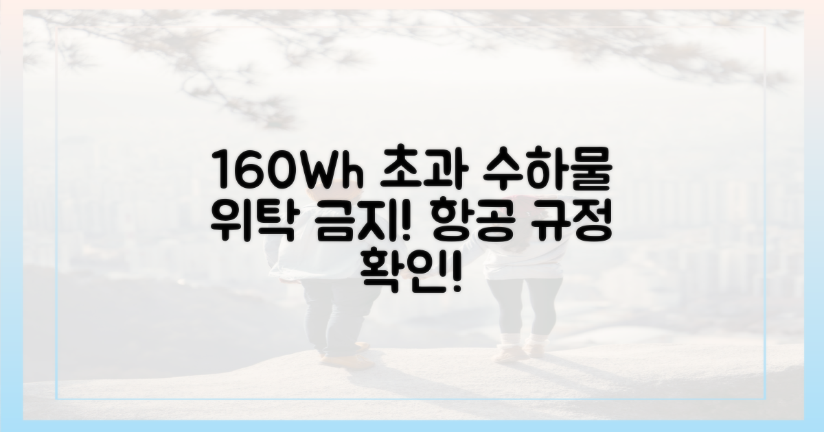 160Wh 초과 시 위탁 수하물