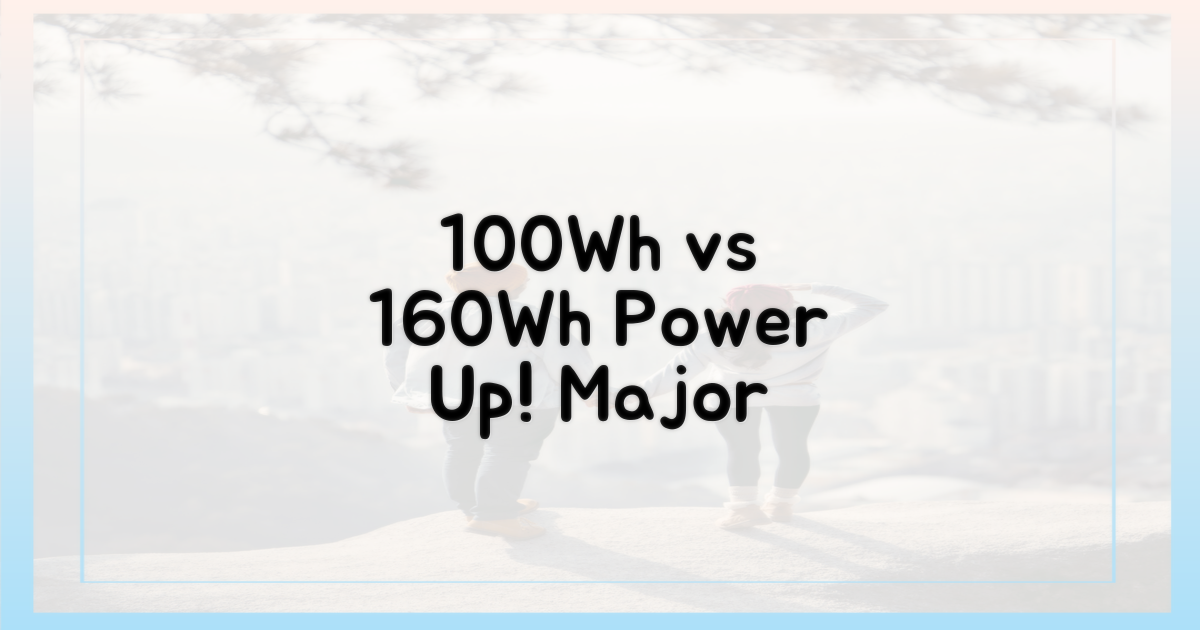 100Wh vs 160Wh, 차이는?