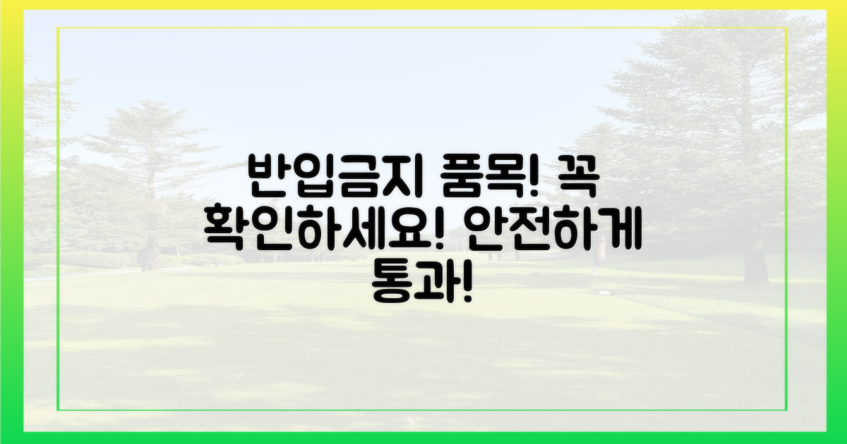 반입 금지 품목을 피해가세요