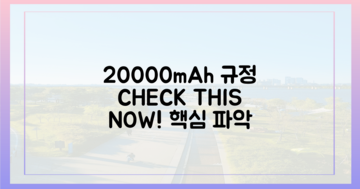 20000mAh 규정 숙지