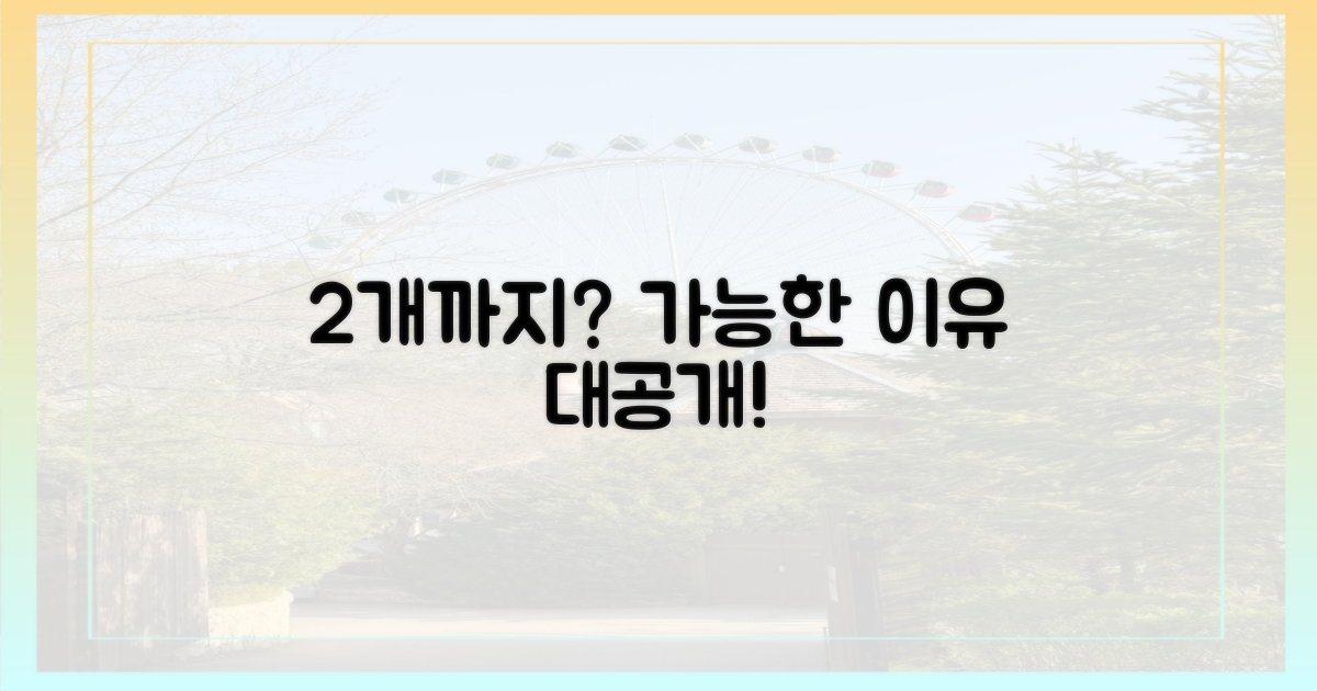2개까지 가능한 이유