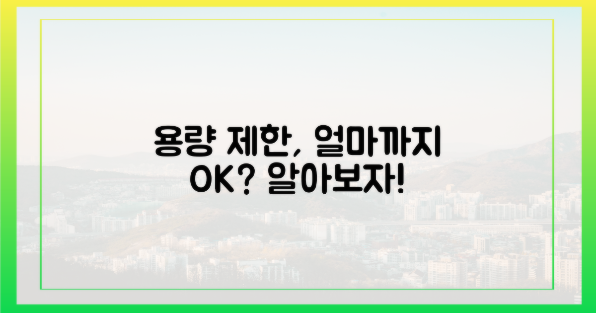 용량별 제한, 얼마까지 허용될까?