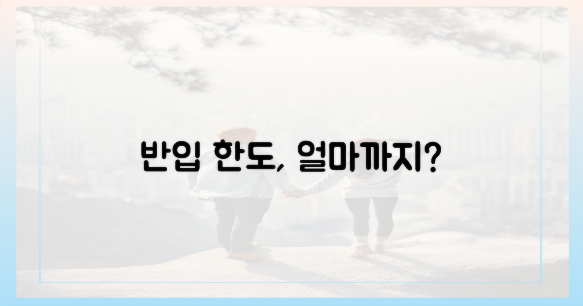 얼마까지 반입 가능할까요?