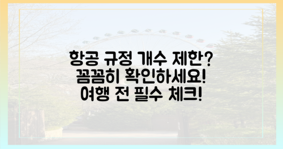 개수 제한? 항공 규정 꼼꼼히 확인!