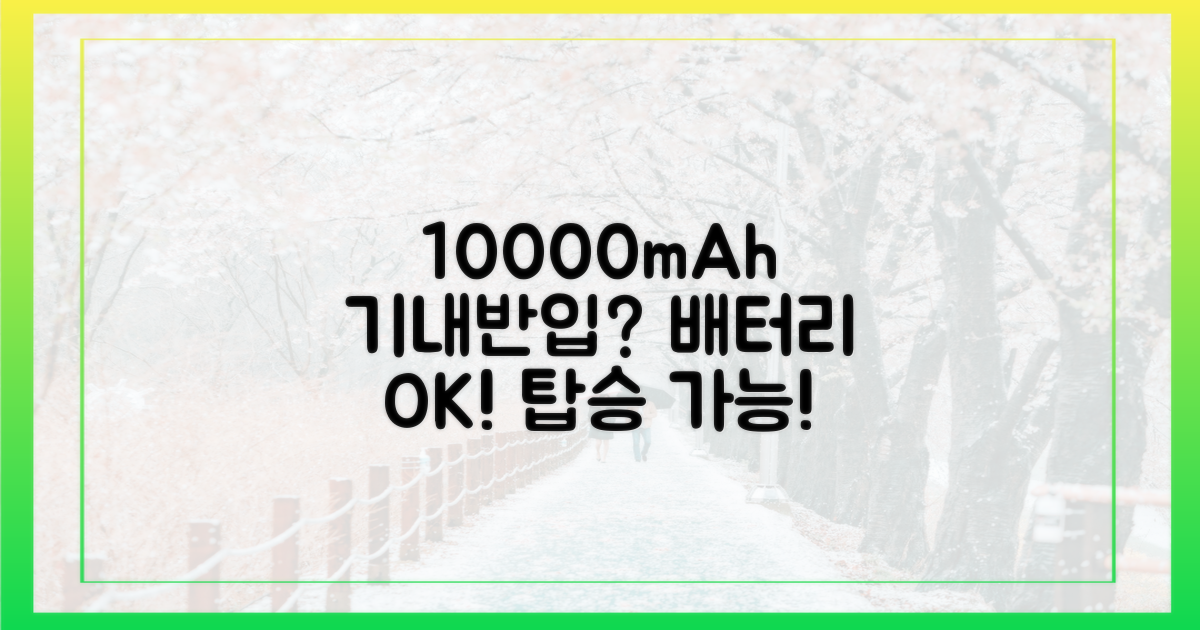 10000mAh 보조배터리, 기내 반입 가능할까?