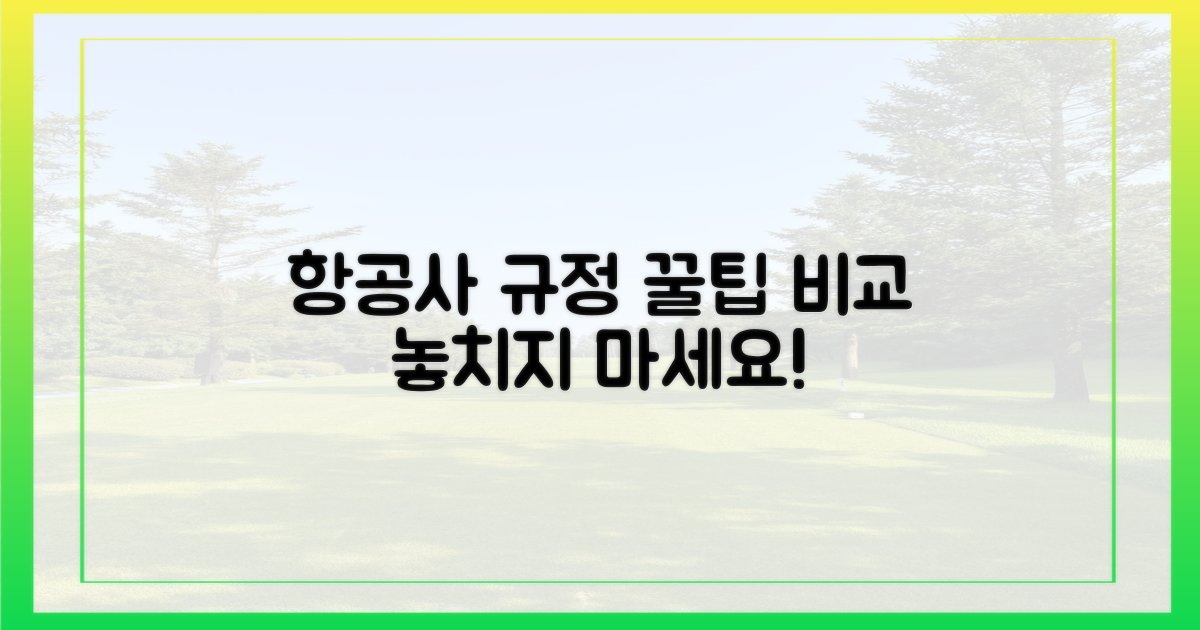 항공사별 규정 비교