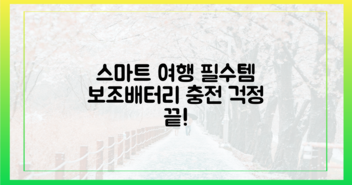 스마트한 여행, 보조배터리와 함께