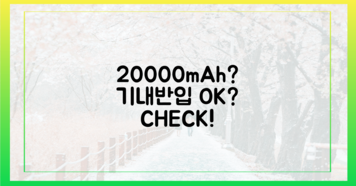 20000mAh, 기내 반입 가능할까?