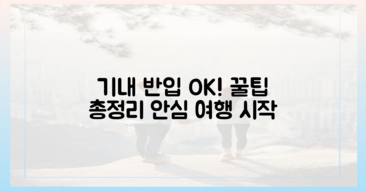 안전한 기내 반입 요령