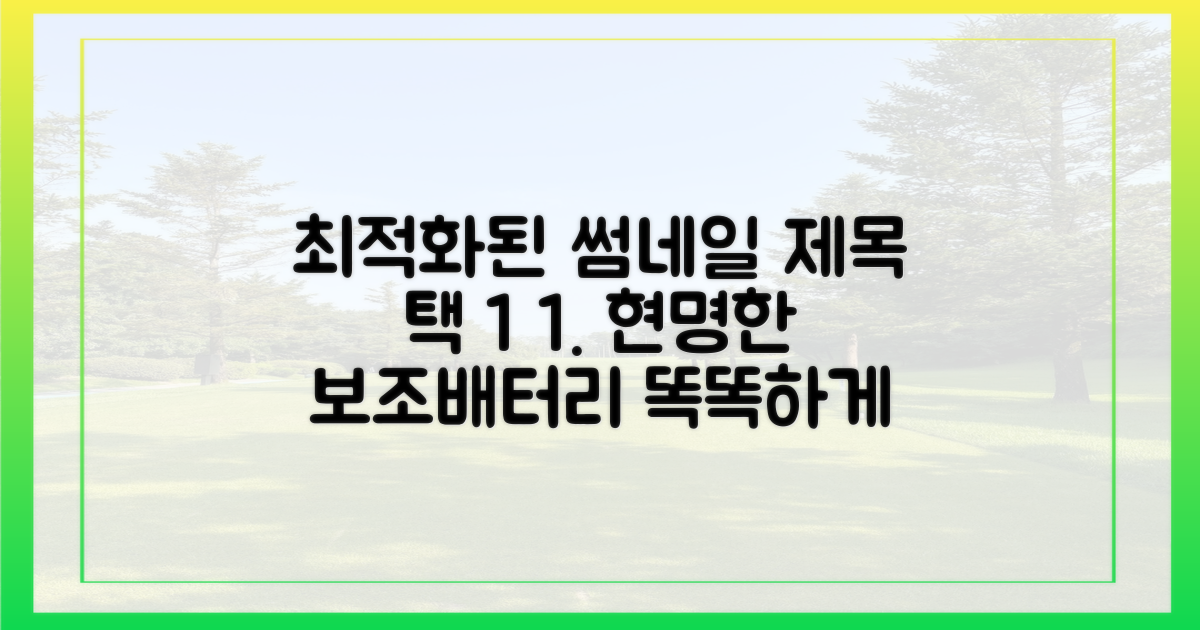 현명한 보조배터리 선택