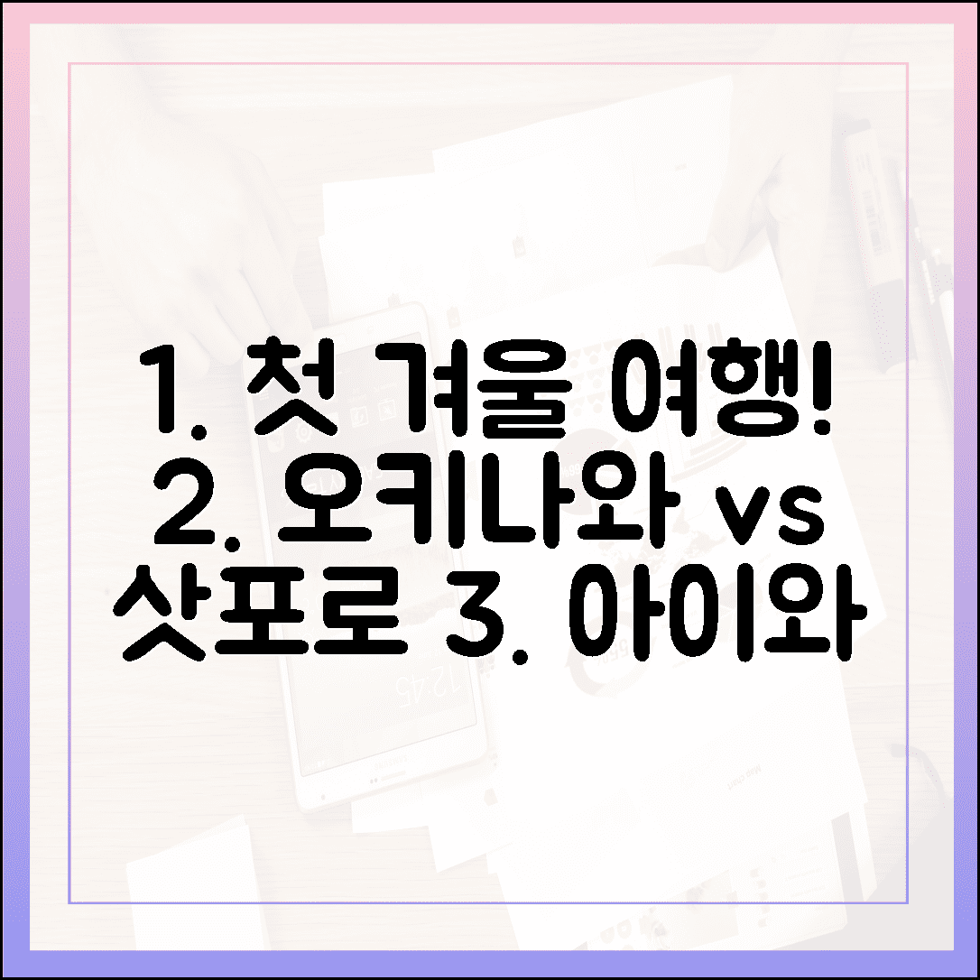 아이와 함께 가는 첫 일본 겨울 여행, 오키나와 vs 삿포로 비교 분석 3